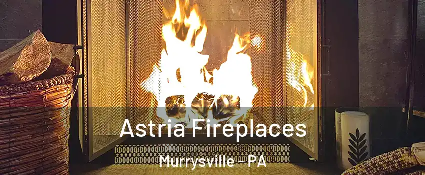  Astria Fireplaces Murrysville - PA