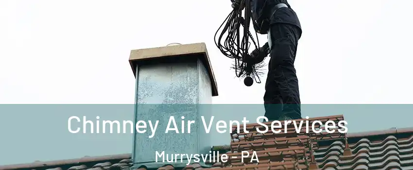  Chimney Air Vent Services Murrysville - PA