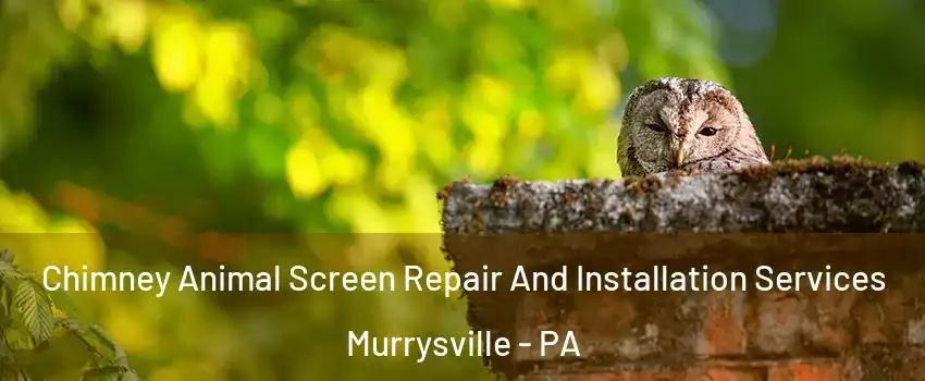  Chimney Animal Screen Repair And Installation Services Murrysville - PA