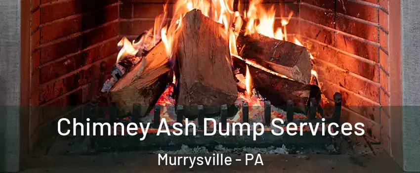  Chimney Ash Dump Services Murrysville - PA