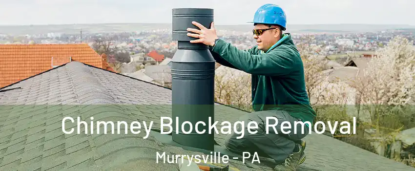  Chimney Blockage Removal Murrysville - PA