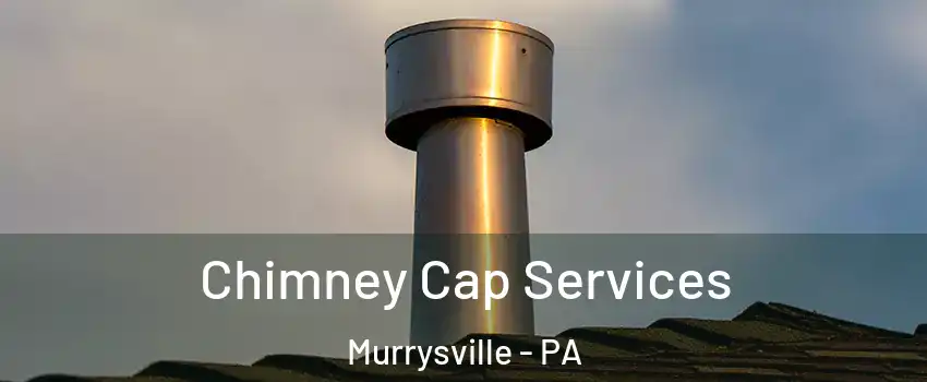  Chimney Cap Services Murrysville - PA