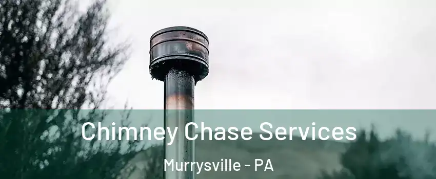  Chimney Chase Services Murrysville - PA