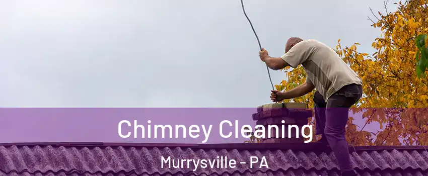  Chimney Cleaning Murrysville - PA