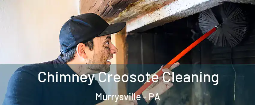  Chimney Creosote Cleaning Murrysville - PA