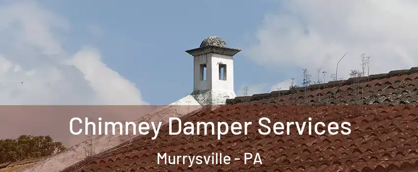  Chimney Damper Services Murrysville - PA