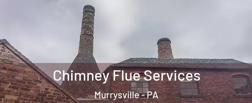  Chimney Flue Services Murrysville - PA