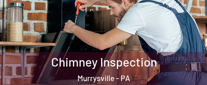  Chimney Inspection Murrysville - PA