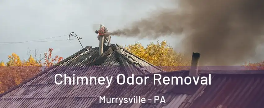  Chimney Odor Removal Murrysville - PA