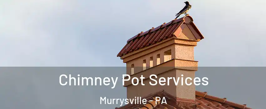  Chimney Pot Services Murrysville - PA