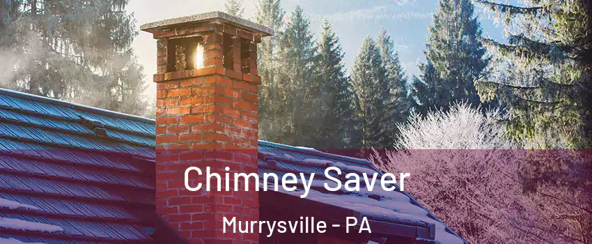  Chimney Saver Murrysville - PA