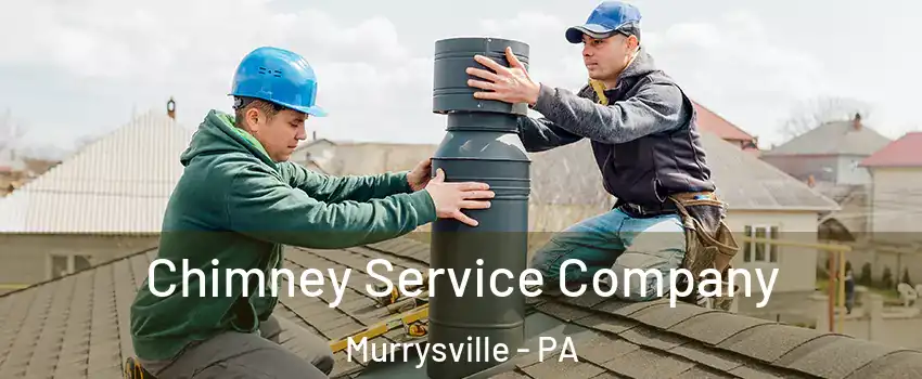  Chimney Service Company Murrysville - PA