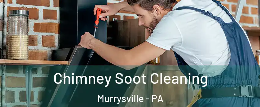  Chimney Soot Cleaning Murrysville - PA