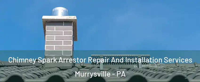  Chimney Spark Arrestor Repair And Installation Services Murrysville - PA