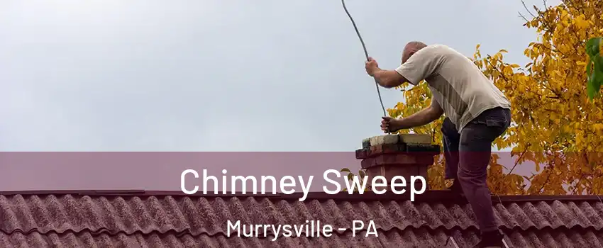  Chimney Sweep Murrysville - PA