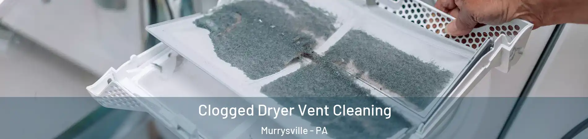  Clogged Dryer Vent Cleaning Murrysville - PA