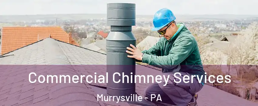  Commercial Chimney Services Murrysville - PA