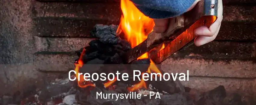  Creosote Removal Murrysville - PA
