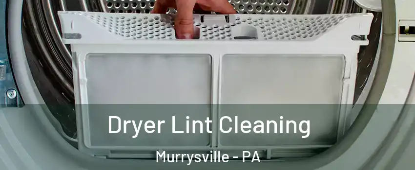  Dryer Lint Cleaning Murrysville - PA