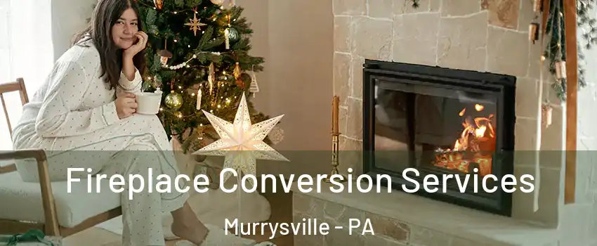  Fireplace Conversion Services Murrysville - PA