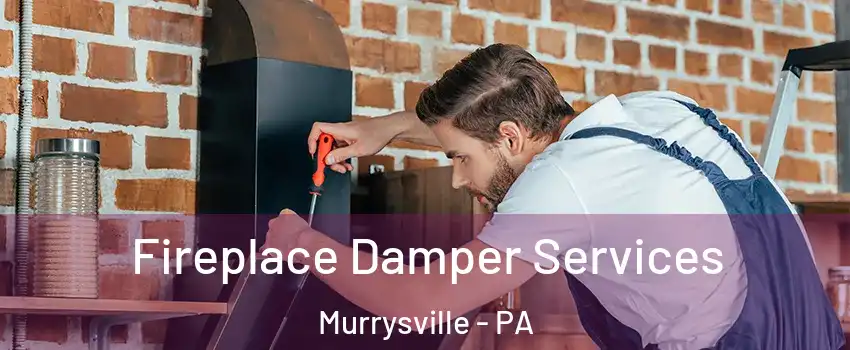  Fireplace Damper Services Murrysville - PA