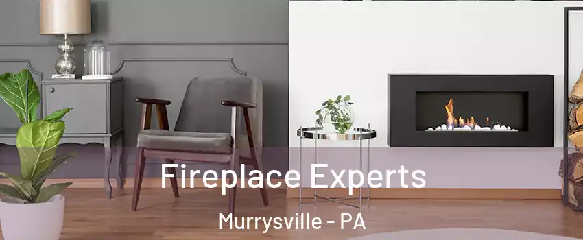  Fireplace Experts Murrysville - PA