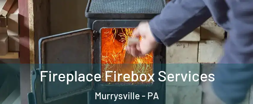  Fireplace Firebox Services Murrysville - PA