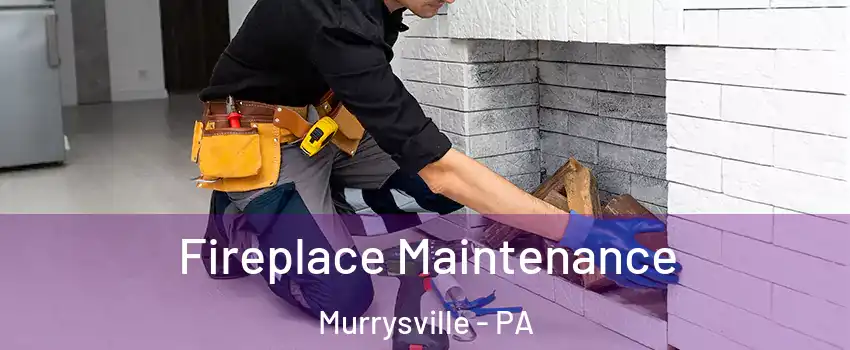  Fireplace Maintenance Murrysville - PA