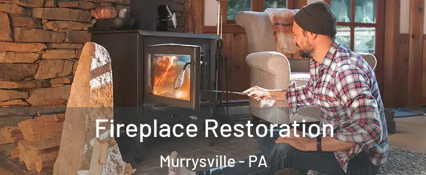  Fireplace Restoration Murrysville - PA