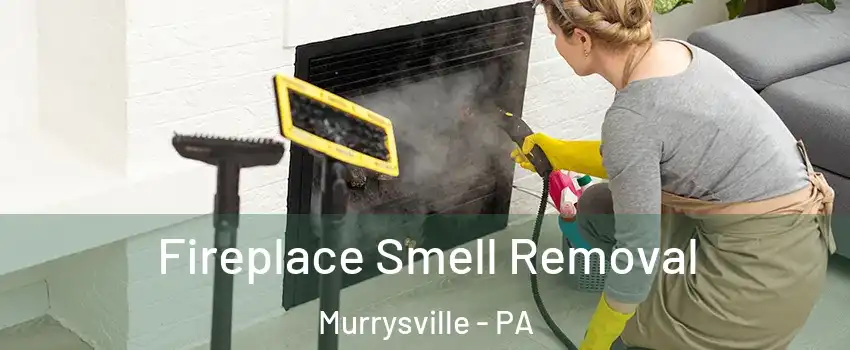  Fireplace Smell Removal Murrysville - PA