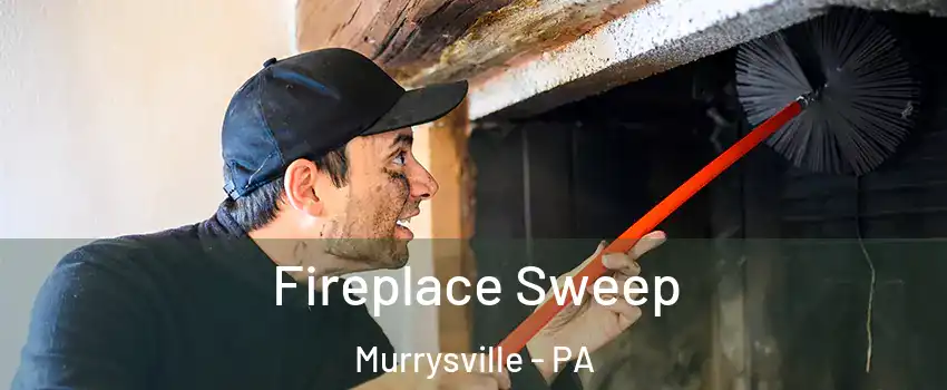  Fireplace Sweep Murrysville - PA