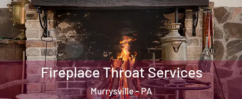  Fireplace Throat Services Murrysville - PA