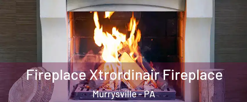 Fireplace Xtrordinair Fireplace Murrysville - PA
