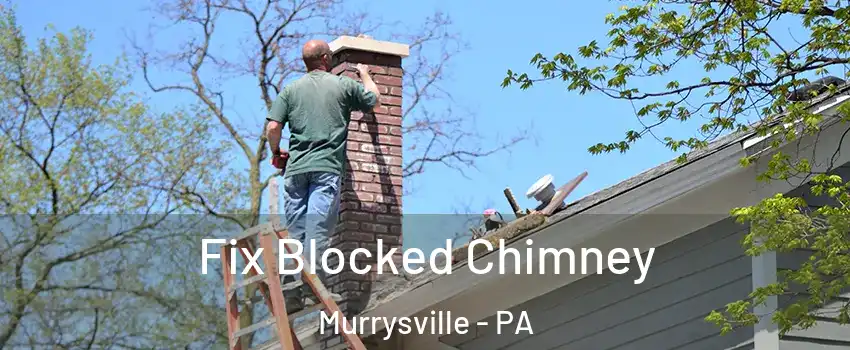  Fix Blocked Chimney Murrysville - PA