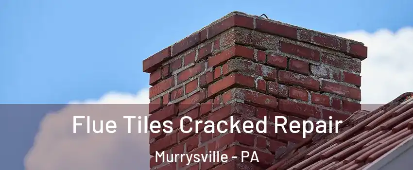  Flue Tiles Cracked Repair Murrysville - PA