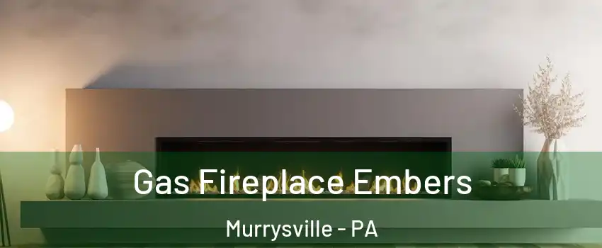  Gas Fireplace Embers Murrysville - PA