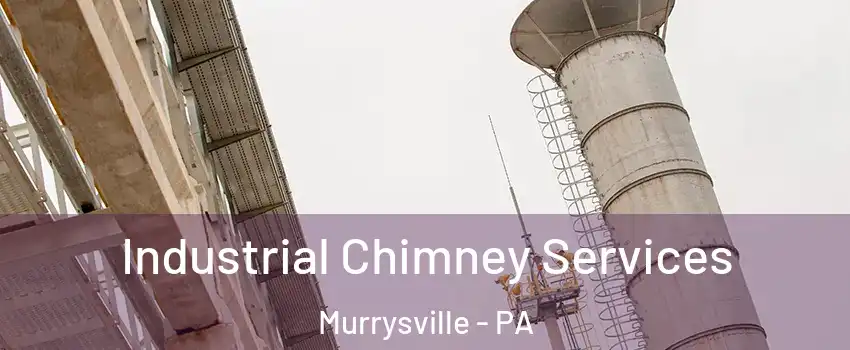  Industrial Chimney Services Murrysville - PA