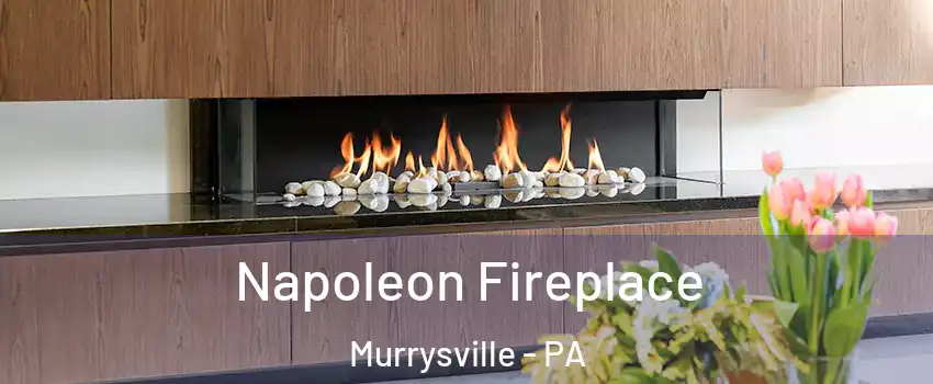  Napoleon Fireplace Murrysville - PA