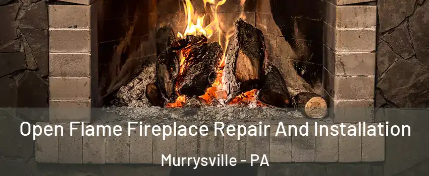  Open Flame Fireplace Repair And Installation Murrysville - PA