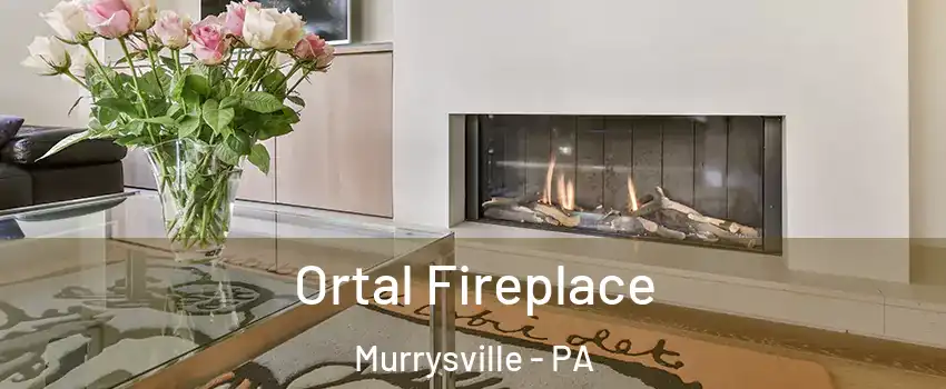  Ortal Fireplace Murrysville - PA