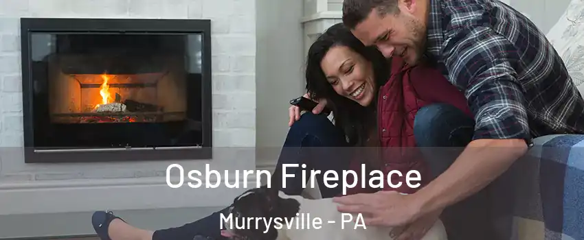  Osburn Fireplace Murrysville - PA