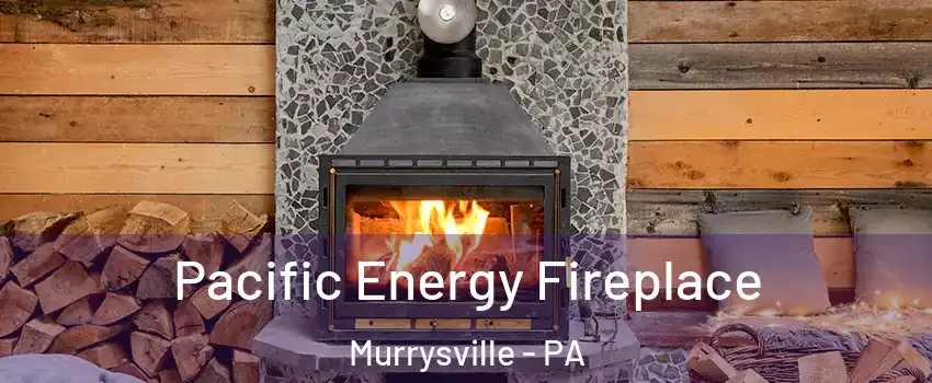  Pacific Energy Fireplace Murrysville - PA