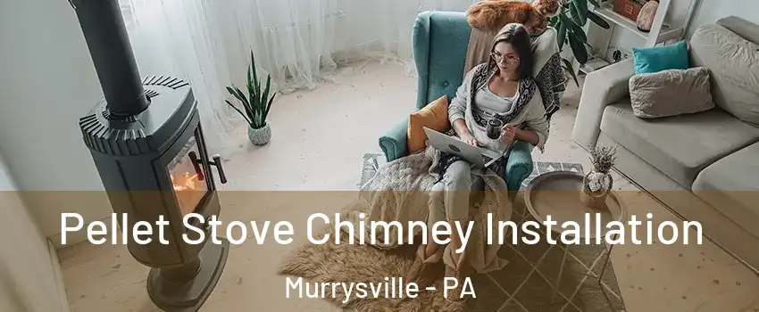  Pellet Stove Chimney Installation Murrysville - PA