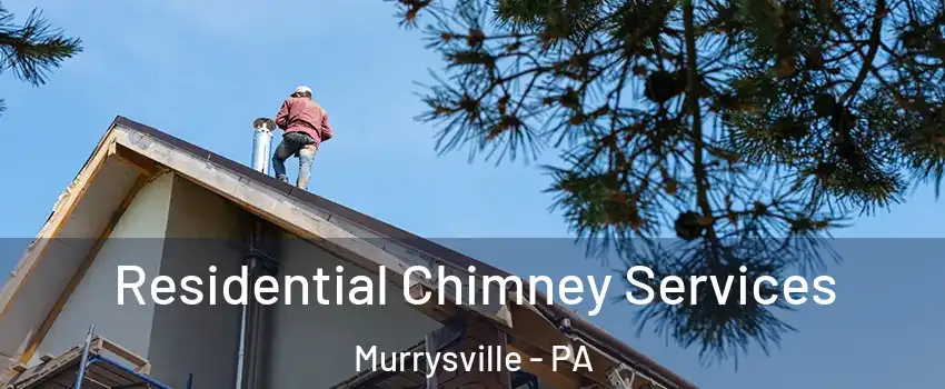  Residential Chimney Services Murrysville - PA